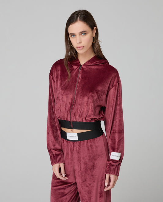 Hinnominate - Jacket Plea